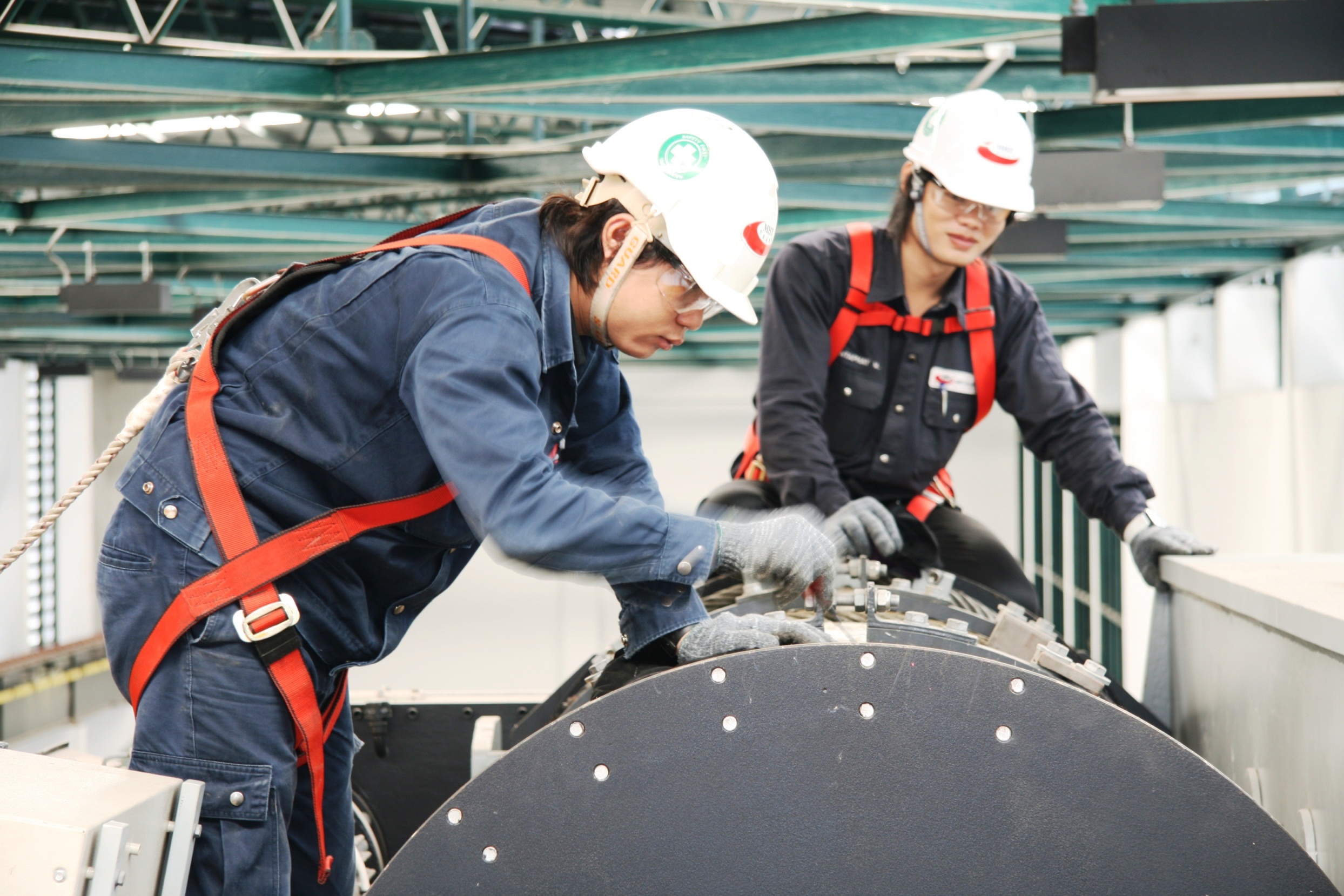 Hoist & Crane inspection