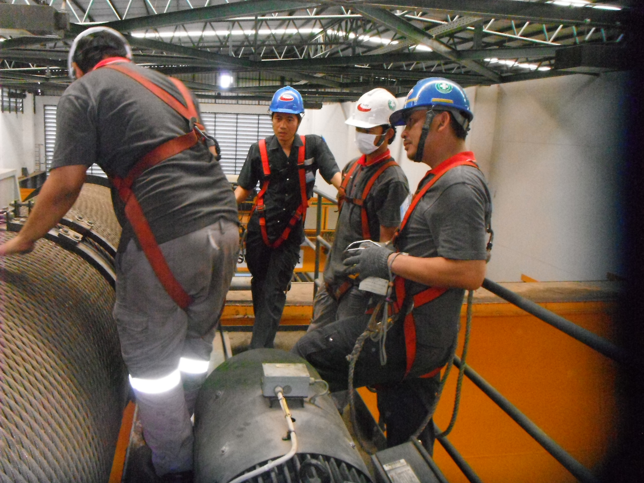 Maintenance of hoists and cranes